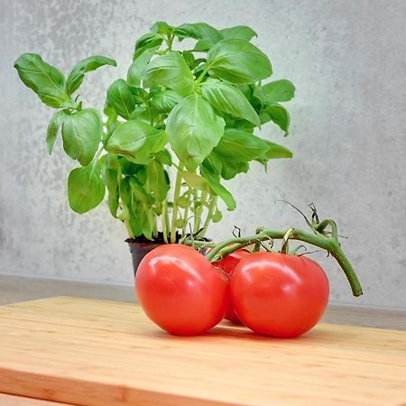 Central Apartment - Free Private Parking Gdansk Ngoại thất bức ảnh