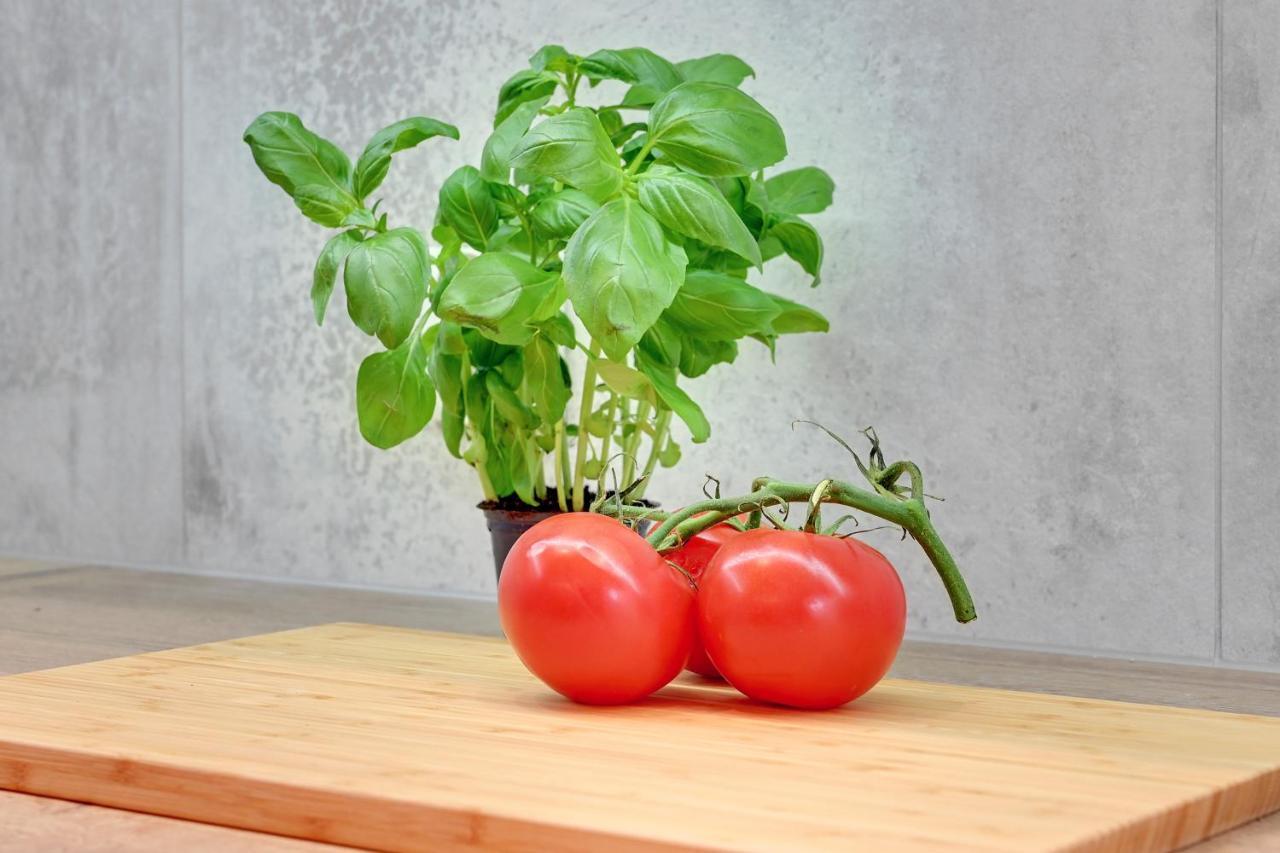 Central Apartment - Free Private Parking Gdansk Ngoại thất bức ảnh